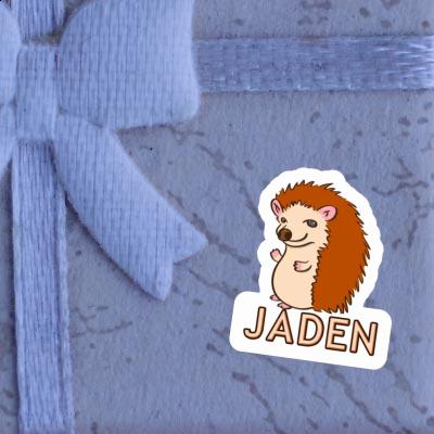 Hedgehog Sticker Jaden Notebook Image