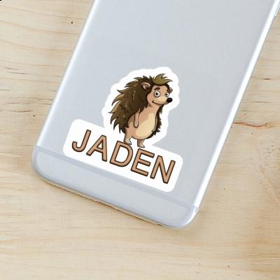 Jaden Sticker Hedgehog Image