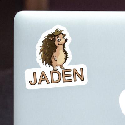 Jaden Sticker Hedgehog Notebook Image