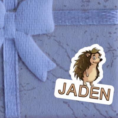 Jaden Sticker Hedgehog Gift package Image