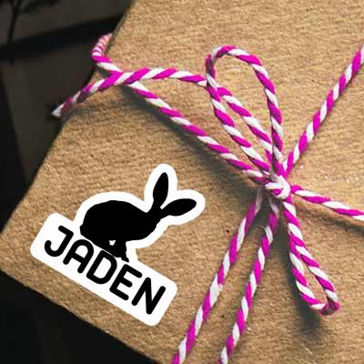 Autocollant Lapin Jaden Gift package Image