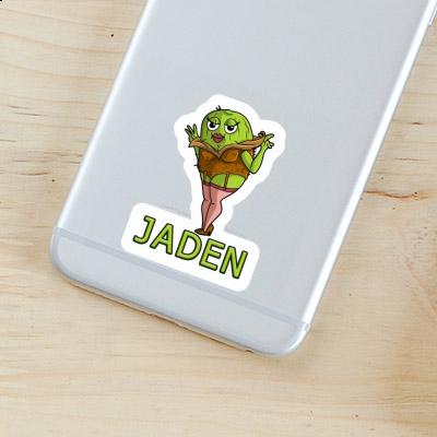 Sticker Kiwi Jaden Gift package Image