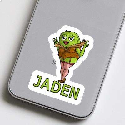 Autocollant Jaden Kiwi Image