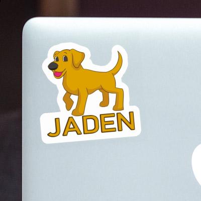 Labrador Sticker Jaden Laptop Image