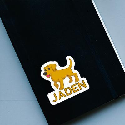 Sticker Labrador Jaden Gift package Image