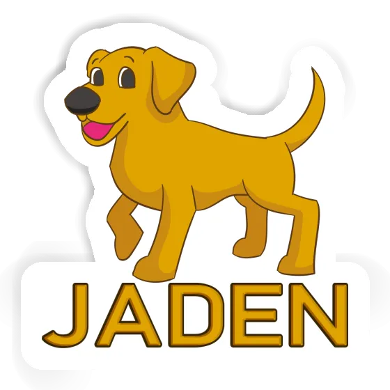 Sticker Labrador Jaden Image