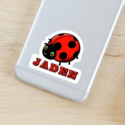 Sticker Jaden Ladybird Gift package Image