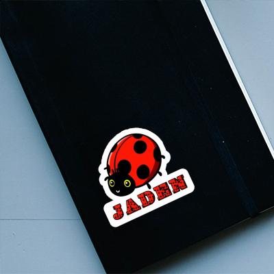 Sticker Jaden Ladybird Image