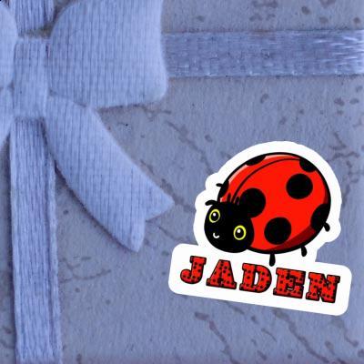 Sticker Jaden Ladybird Laptop Image