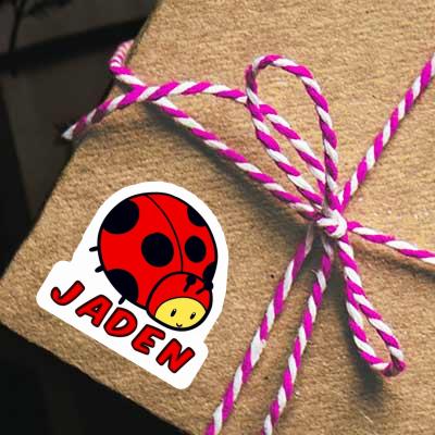 Autocollant Coccinelle Jaden Gift package Image