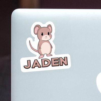 Mouse Sticker Jaden Gift package Image