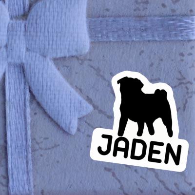 Sticker Pug Jaden Image