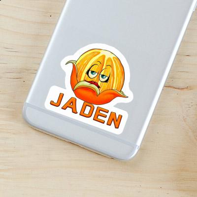 Orange Sticker Jaden Gift package Image