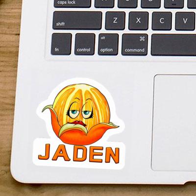 Orange Sticker Jaden Gift package Image