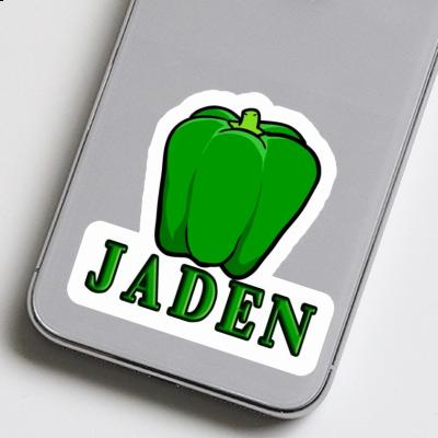 Poivron Autocollant Jaden Gift package Image