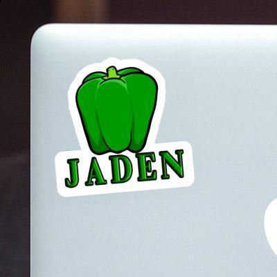 Poivron Autocollant Jaden Laptop Image