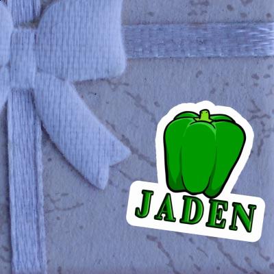 Jaden Sticker Paprika Gift package Image