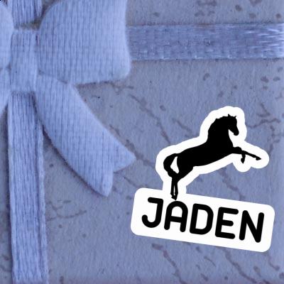 Sticker Horse Jaden Laptop Image