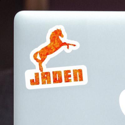 Sticker Jaden Horse Laptop Image