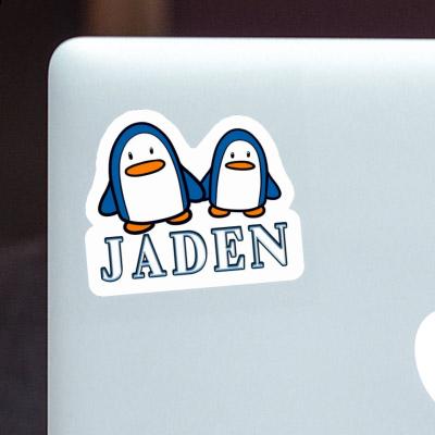 Sticker Penguin Jaden Gift package Image