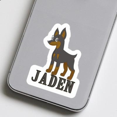 Jaden Sticker Pinscher Gift package Image