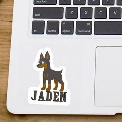 Jaden Sticker Pinscher Image