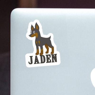 Jaden Sticker Pinscher Laptop Image