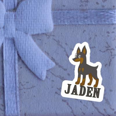 Pinscher Sticker Jaden Gift package Image