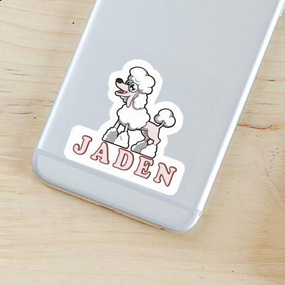 Sticker Poodle Jaden Image