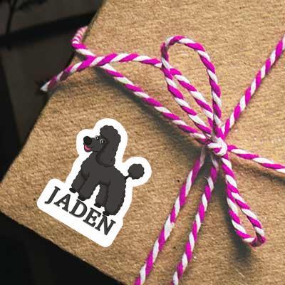 Sticker Poodle Jaden Image