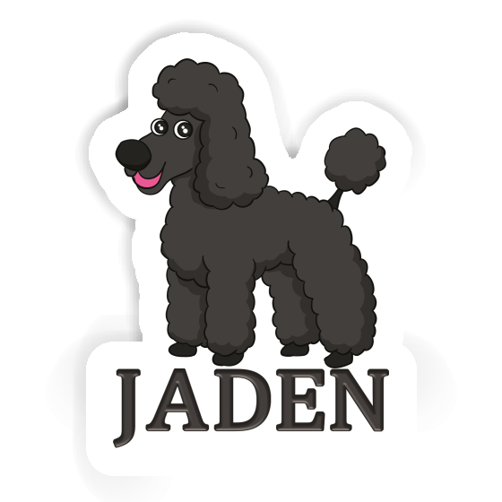 Caniche Autocollant Jaden Image