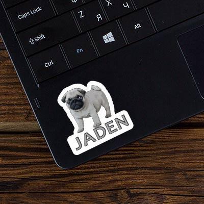 Jaden Sticker Pug Laptop Image