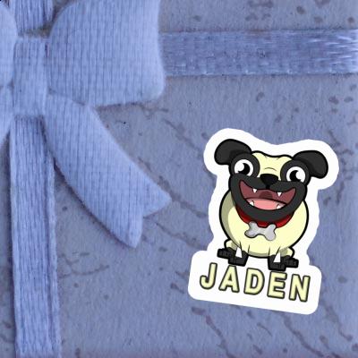 Jaden Autocollant Carlin Gift package Image