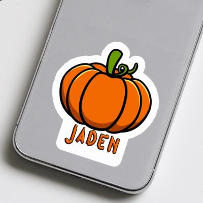 Sticker Jaden Pumpkin Laptop Image