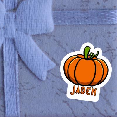 Sticker Jaden Pumpkin Notebook Image