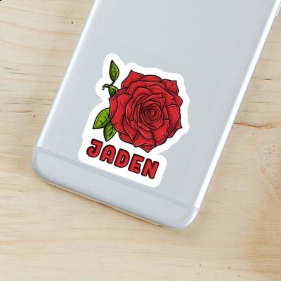 Rose blossom Sticker Jaden Gift package Image