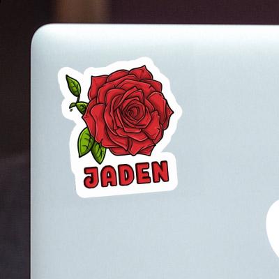 Rose blossom Sticker Jaden Notebook Image