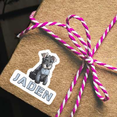 Sticker Jaden Schnauzer Notebook Image