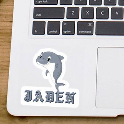 Shark Sticker Jaden Laptop Image