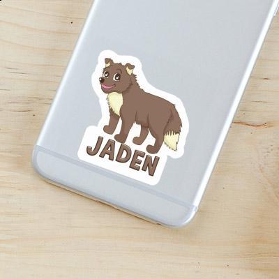 Sticker Jaden Sheepdog Laptop Image