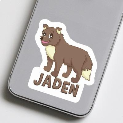 Autocollant Chien de berger Jaden Gift package Image