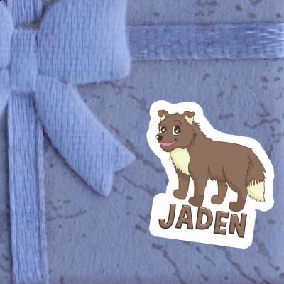 Sticker Jaden Sheepdog Gift package Image