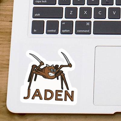 Jaden Sticker Spider Gift package Image