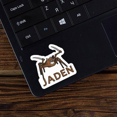 Jaden Sticker Spider Notebook Image