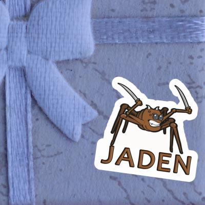 Jaden Sticker Spider Gift package Image