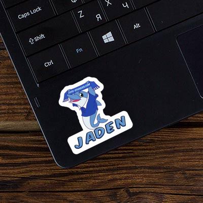 Dolphin Sticker Jaden Image