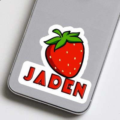 Erdbeere Aufkleber Jaden Gift package Image