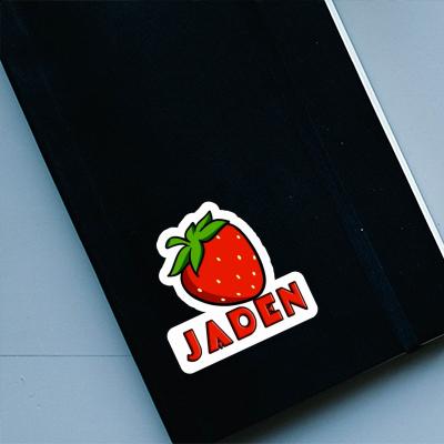 Strawberry Sticker Jaden Image