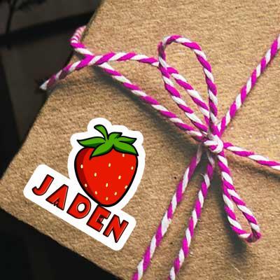 Strawberry Sticker Jaden Gift package Image