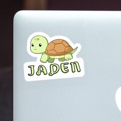 Tortue Autocollant Jaden Image